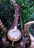 Музей музыкальных инструментов Гурминджа Завкибекова. Музеи Таджикистана