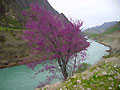 Vakhsh River. Tajikistan photos